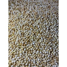 Ak Darı Muhabbet Kuşu Yemi Kuş Yemi 5 KG