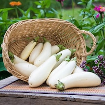 Casper Long Beyaz Etli Patlıcan Tohumu 15 Tohum