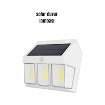 Çok Renkli