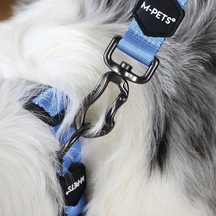 Gentle Dog Boyun Tasması S Blue Çok Renkli
