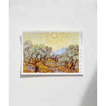 Çerçevesiz Poster Vincent Van Gogh Zeytin Ağaçları