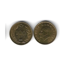 1993 Yılı Tedavül Pirinç 100 Lira Çil