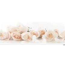Rosas 6'lı Digital Set