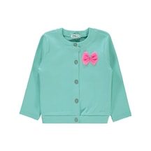 Mint Yeşili