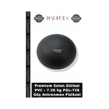 Premium Salon Güllesi Pvc - 7.26 Kg Pgl-726 Güç Antrenman Fiziksel Çok Renkli