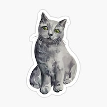 Ufak Bebek Kedi Araba Oto Sticker Etiket Renkli E5
