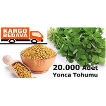 20000 Adet Yonca Tohumu N112694