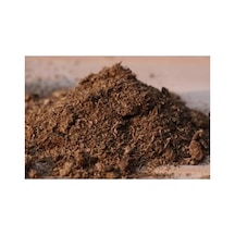 0.1 KG