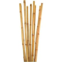 Bambu Bitki Destek Çubuğu 150 Cm 10 Adet