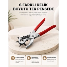 Delme Pensesi 6 Başlıklı Çok Amaçlı Paslanmaz Çelik Ergonomik 80242307