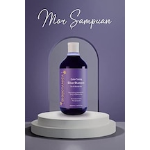 Silver Turunculaşma Karşıtı Mor Şampuan 500 Ml Silver Turunculaşma Karşıtı Mor Şampuan 500 Ml