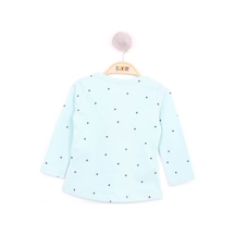 Mint Yeşili