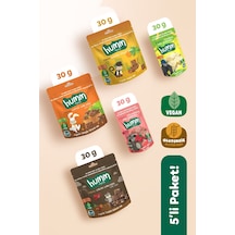 Hummorganic Organik Glutensiz Vegan Kek & Mini Küp Atıştımalık Paketi - 5 adet (5 çeşit)