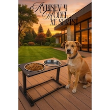 Reyo Ok-ay Store Aybisev 4 Xl Boy Büyük Irk Köpekler İçin Yükseltilebilir Metal Mama Su Kabı Standı Siyah