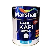 Panel Kapı Boyası Bw Baz 1 Lt