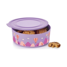 Tupperware Kurabiye Saklama Kutuları Kapadokya Lila