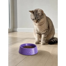 Hubrendy Sh Pati Desen Model Beton Kedi Köpek Mama Ve Su Kabı 13 Cm Çap X 4 Cm - Mor