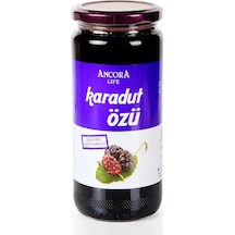 Ancora Life Karadut Özü 640 G