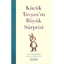 Küçük Tavşan In Büyük Sürprizi - Ccgx-858843