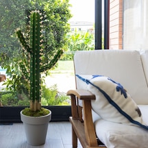 Yapay Kaktüs 105 Cm Yeşil
