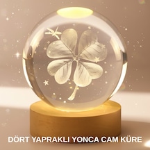 Bitki Temalı Led Işıklı Cam Küre Ahşap Standlı Modern Gece Lambası Standart