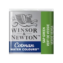 Winsor & Newton Cotman Yarım Tablet Suluboya Sap Green 599 Karışık