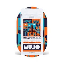 Guatemala Heuheutenango Shb Ep Çekirdek Kahve-250gr-v60 V60