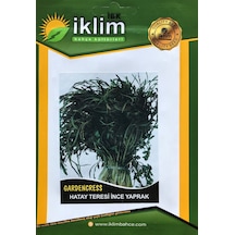 Tere Tohumu İnce Tel 10 GR Takribi 3000 Adet Tohum