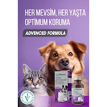 Mixtura Pharma Immun Sıvı