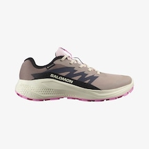 Salomon Alpha Glide Gtx W Gore-tex L47857900 Erkek Spor Ayakkabı Pudra