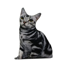 American Shorthair 3d Dijital Baskılı Lüks Kedi Yastığı Renkli