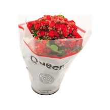 Kalanşo Çiçeği Kalanchoe Emel Hanım Çiçeği Kırmızı Renk