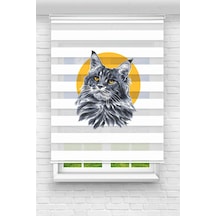Perdecizade Enxboy Kedi Dijital Baskılı Zebra Perde-cocuk Odası-stor Perde Tyc8b666830704df075f7ff00 Renkli