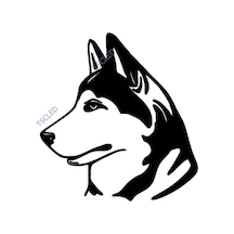 Kurt Sticker Yapıştırma