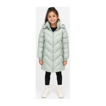 Mint Yeşili