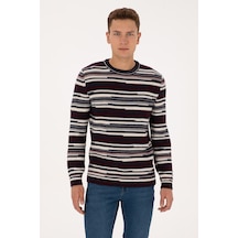 U.S. Polo Assn. Erkek Comfort Fit Bisiklet Yaka Mürdüm Kazak 50308332-VR074