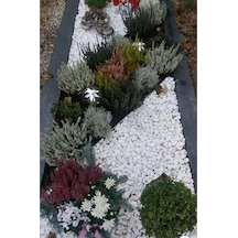 Beyaz Dolomit Taş 5 Kg 2 4 Cm Bahçe Süs Taşı Dekoratif Aksesuarı 64 X 32