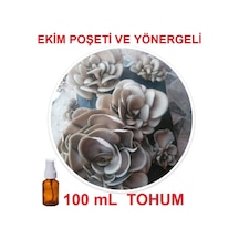 100 Ml Sıvı Istiridye Kayın Kavak Mantarı Tohumu + Ekim Poşeti + Yönerge