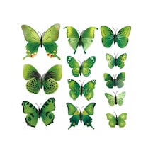 Ev Dekorasyon 3d Pvc Kelebek 12 Li Duvar Süsleme Model L Karışık Renkli