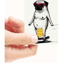 Gözlüklü Patenci Köpek Tasarımlı Kredi Kartı Ve Akbil Kaplama Sticker Standart