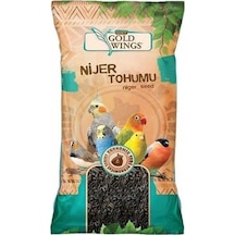 GOLDWİNGS NİJER TOHUMU 250 GR
