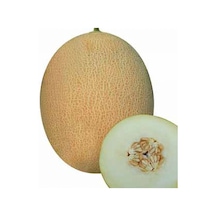 Ananas Kavun Tohumu 15 Tohum +