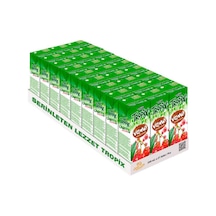 Tropix Meyve Suyu Vişne 200 Ml 27 Adet