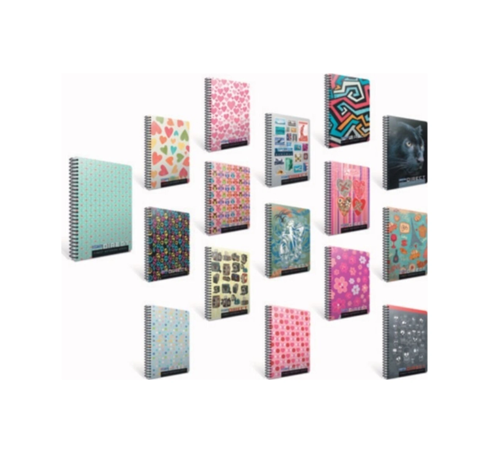 Direct A5 Spiralli Karton Kapak Defter 96 Yaprak Çizgili 6 Lı Paket 2276