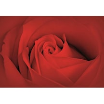 Poster Duvar Kağıdı 560 4 Parça 2.54mt X 1.84mt Renkli