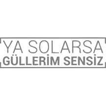 Ya Solarsa Güllerim Sensiz Araba Sticker 17x17 Cm Gri