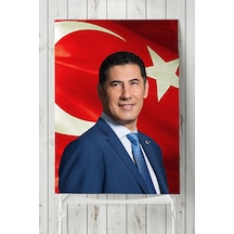 Sinan Oğan Poster, Afiş