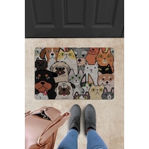 Evaşk Kapı Önü Paspası Vinil Kaymaz Tabanlı 45 X 70 Evaşkdm11113