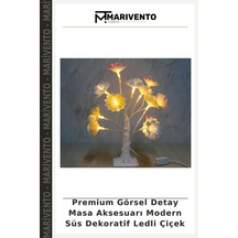 Çok Renkli