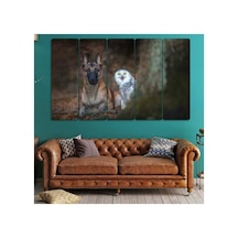 Köpek Ve Baykuş, Orman - 5 Parçalı Tablo Görsel - 702504262 Görsel